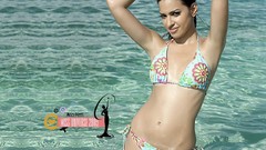 Egypt bikini Miss Universe pageant