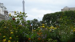 Eiffel Tower Paris France