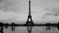 Eiffel Tower Paris monochrome