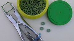 Elastrator rings high