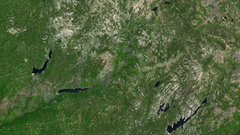 Eldorado ast lrg high