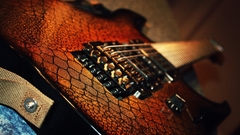 Electric guitars snakeskin