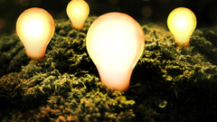 Electricity moss digital art