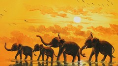 Elephants