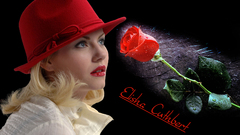 Elisha cuthbert Celebrity