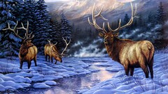elk artwork winter Animals painting Mammals snow nature