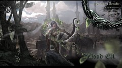 Elves artwork the elder scrolls online