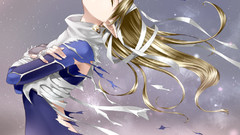 Elves blondes the legend of zelda Princess Zelda sheik