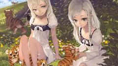 Elves Tigers anime girls braids pointy ears