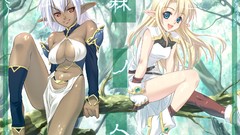Elves white hair blondes anime girls blue eyes