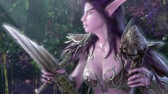 Elves world of warcraft video games