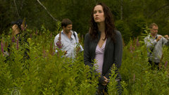 Elyse levesque Celebrity stargate