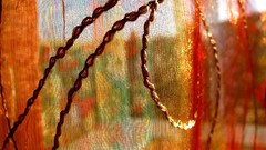 Embroidery sunlight fabric see-through