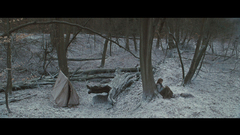 Emma watson forests harry