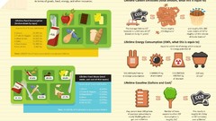 Energy Information infographics consume