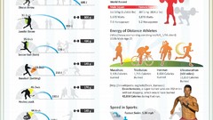 Energy Sports Information infographics