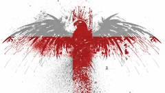 England paint hawk World