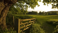 England sunlight afternoon