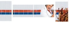 Enjoy You little high