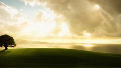 Enlightenment only have few