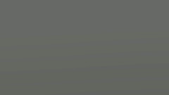 Enough blurred This would herpderp