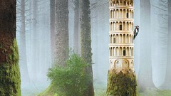 Entertainment House funny