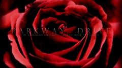 Entertainment Music parkway Drive