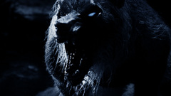 Entertainment underworld