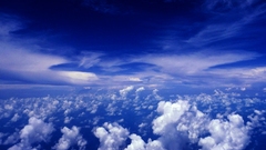 Entire friggin folder holy