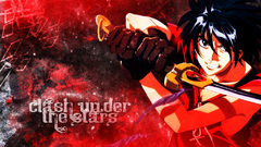 Escaflowne van fanel Anime