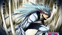 Espada grimmjow jaegerjaquez pantera