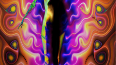 Estatic minds Oh and