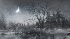 Eternal tears of sorrow