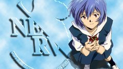 Evangelion neon genesis NERV