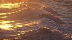 Evening Hawaii waves