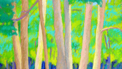 Evergreen spring high