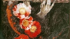 Evil high flute Resolution