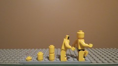 Evolution Legos toys (children)