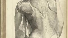 Exhibition like This gov bidloo nih