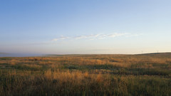 Extra wide field plain