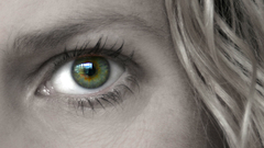 Eye any similar high