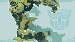 Eye Transformers bumblebee