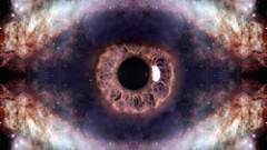 Eye was high just This once faggot Resolution