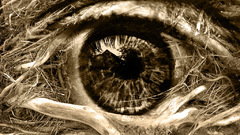 Eye wooden artwork dementia