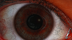 Eyecheao This is kinda