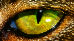Eyes Animals Fractalius