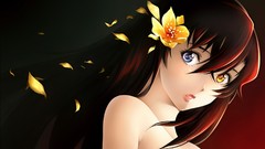 Eyes anime girls blue eyes flower petals heterochromia yellow 