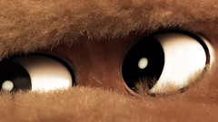 Eyes Bears