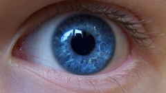 Eyes blue eyes