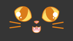 Eyes cats faces whiskers